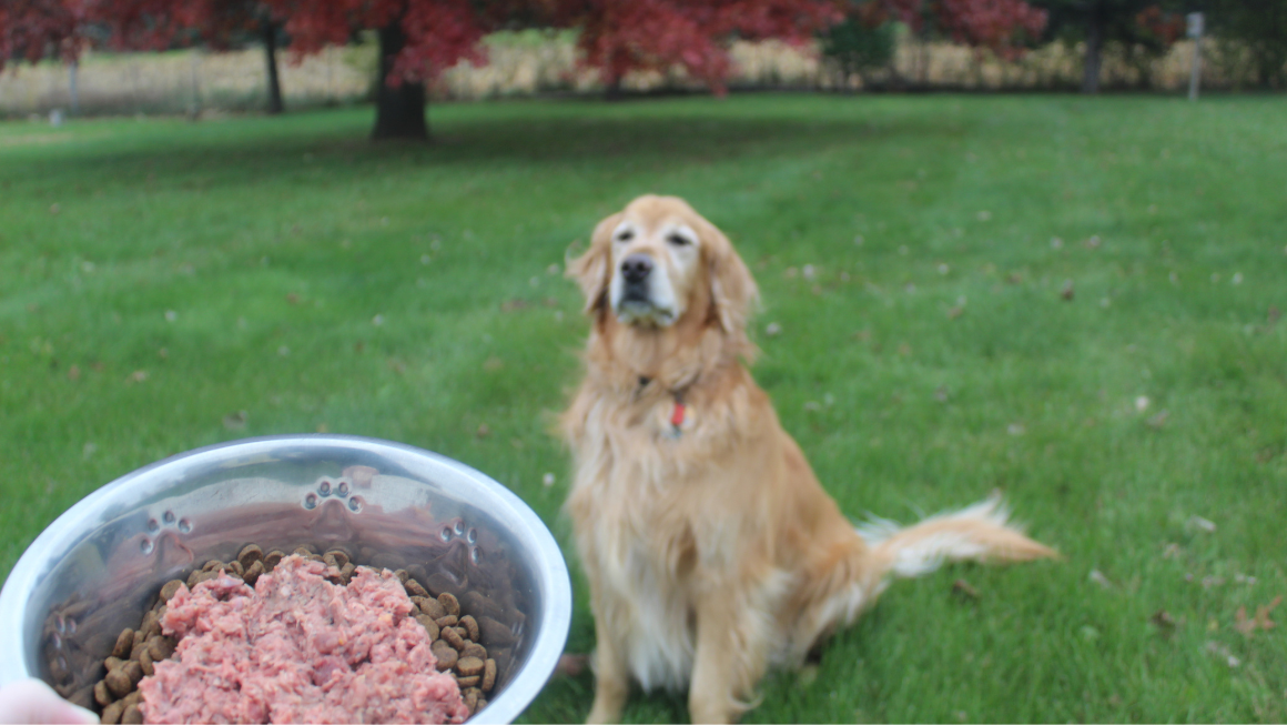 Raw Meat Chunks Topper For Dogs