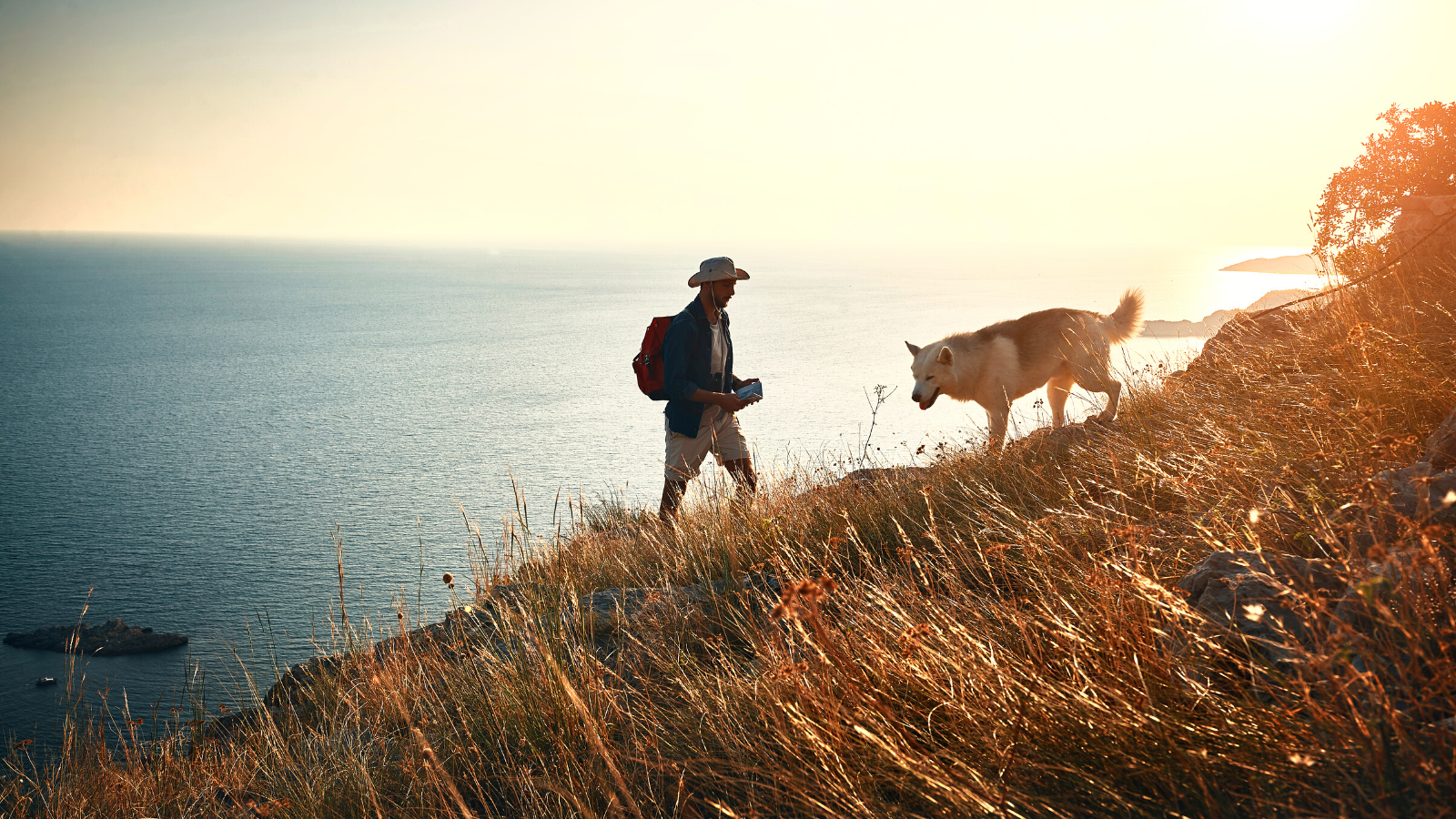 how much water should i bring my dog hiking